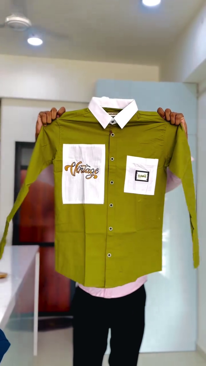 Regular Fit Birds Embroidered Shirt - Image 6