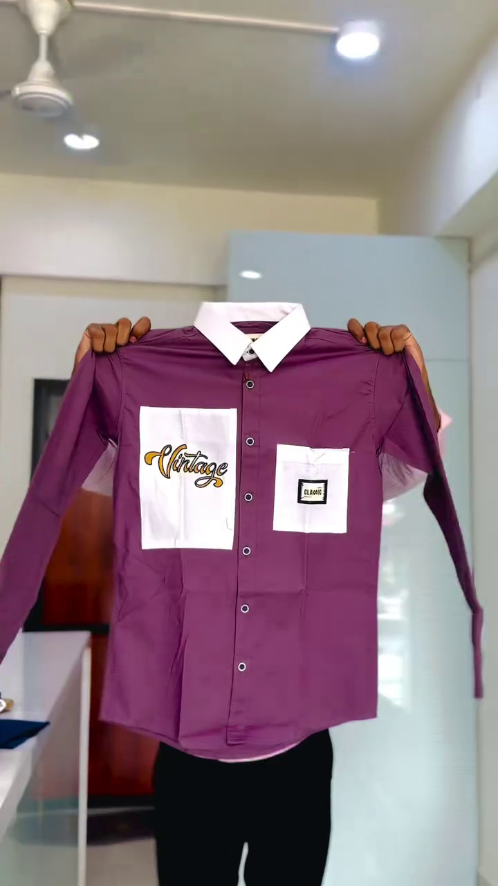Regular Fit Birds Embroidered Shirt - Image 4