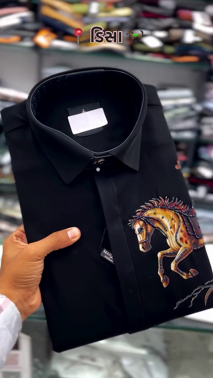 Regular Fit Birds Embroidered Shirt - Image 3