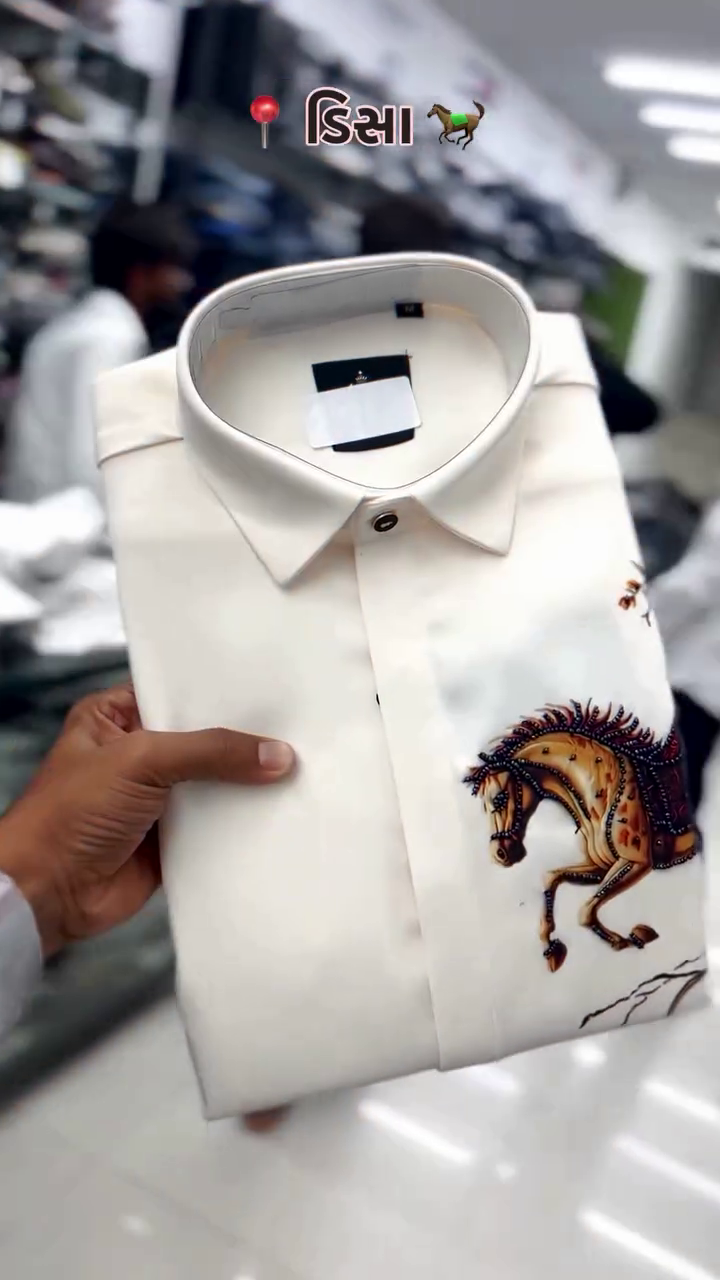 Regular Fit Birds Embroidered Shirt - Image 2